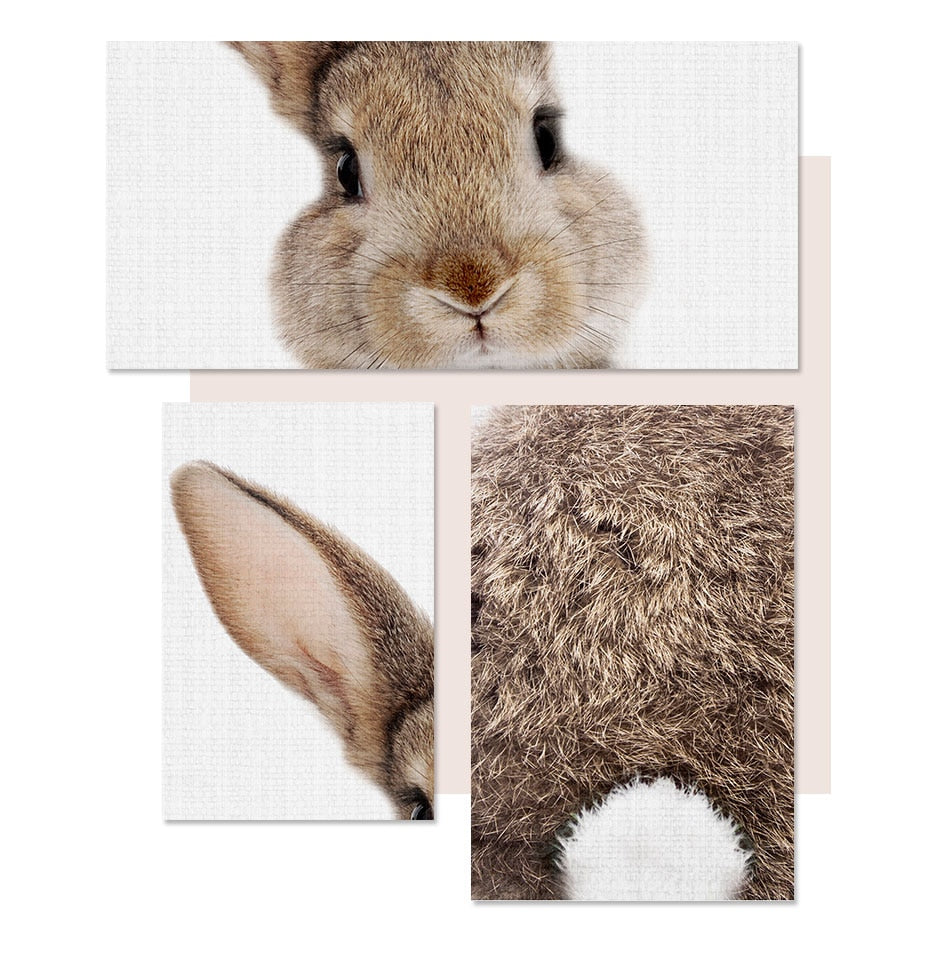 Rabbit BunnyTail Woodland Animal - Canvas Wall Art Painting | Bowlift