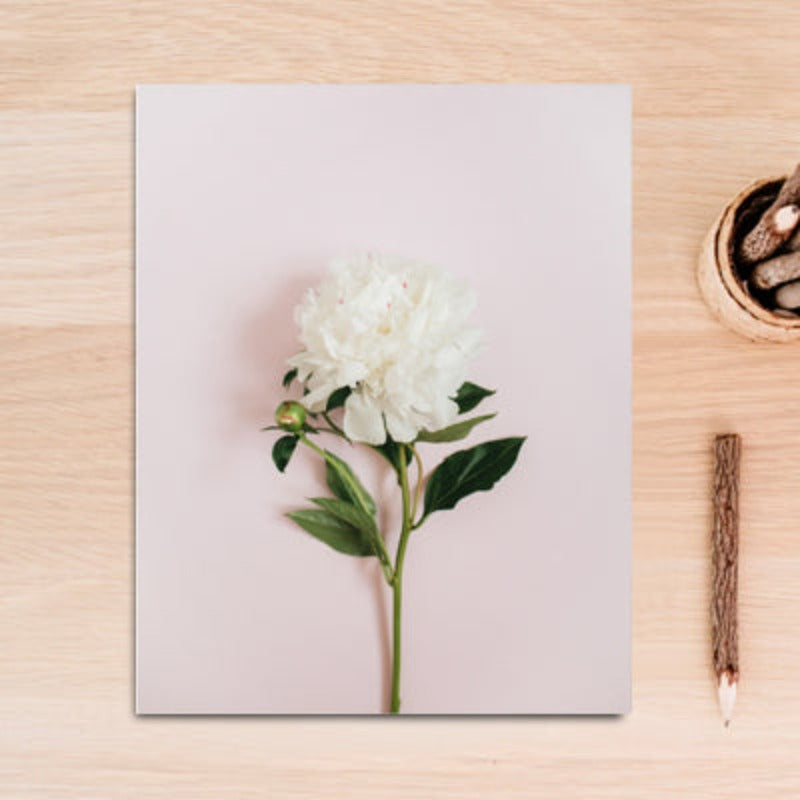 Modern Pink Floral Green Leaves Words - Canvas Wall Art Painting | Bowlift