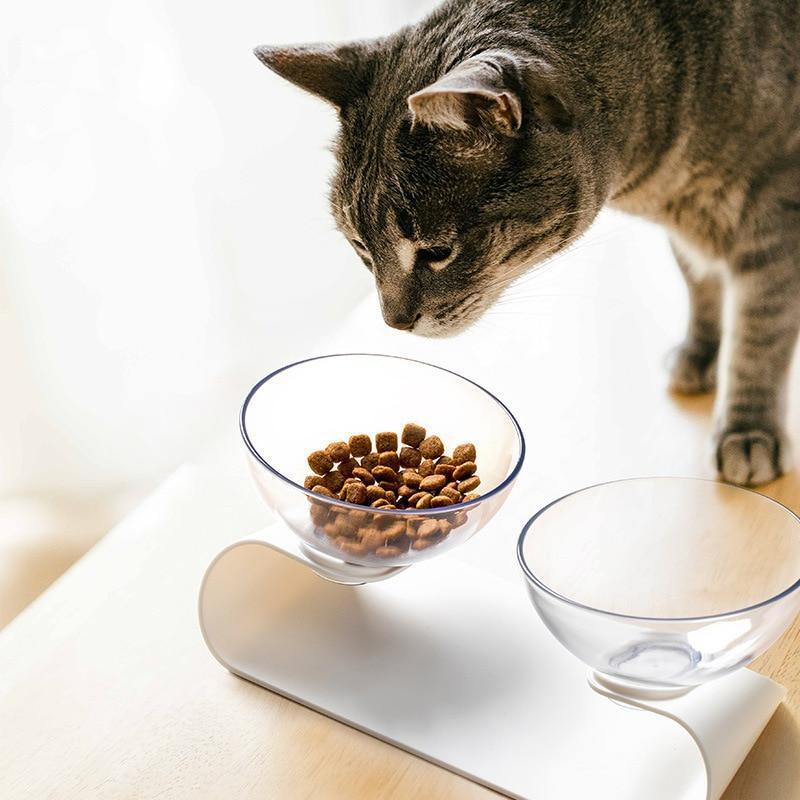 Raised Small Pet Bowls | Bowlift