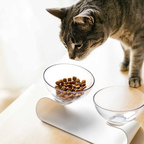 Raised Small Pet Bowls | Bowlift