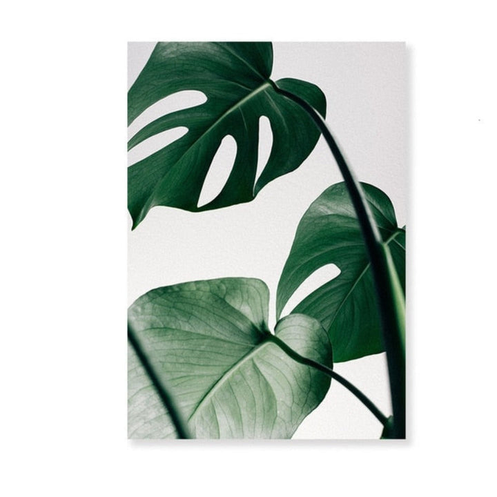 Scandinavia Tropical Green Leaf Nature Pictures - Canvas Wall Art Painting | Bowlift