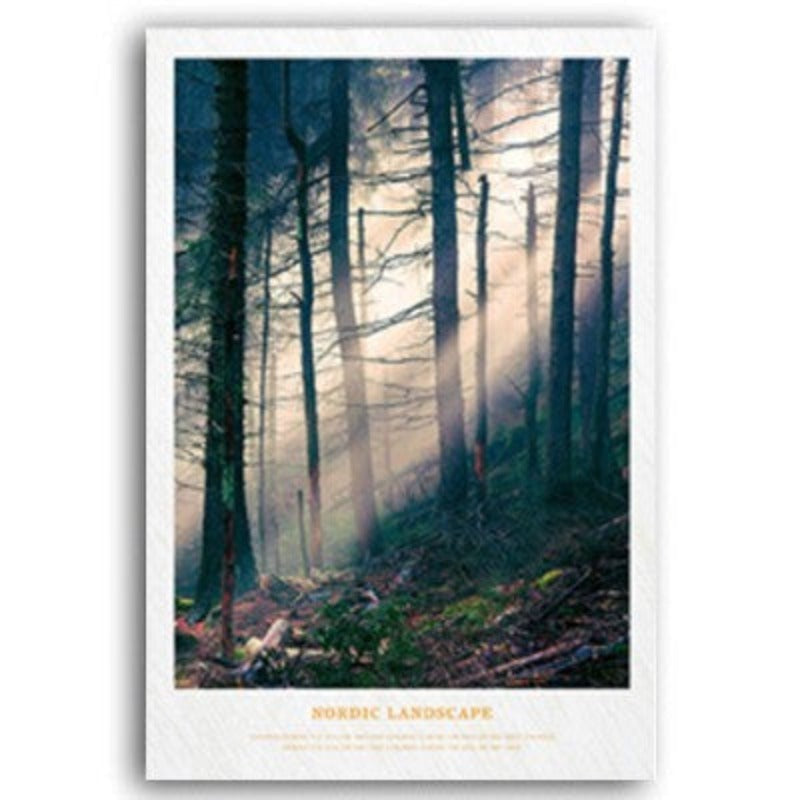 Nordic Scandinavia Natural Forest Sunshine Scene Printing | Bowlift