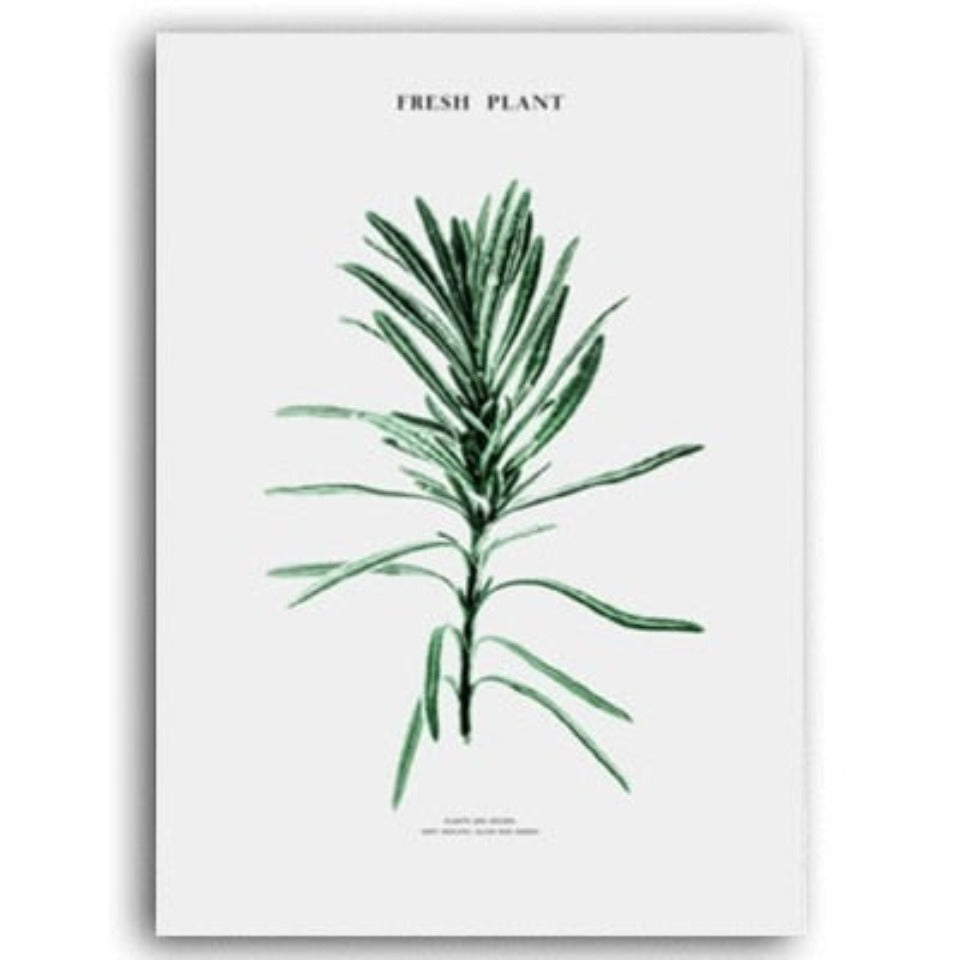 Scandinavia Cactus - Canvas Wall Art Painting | Bowlift