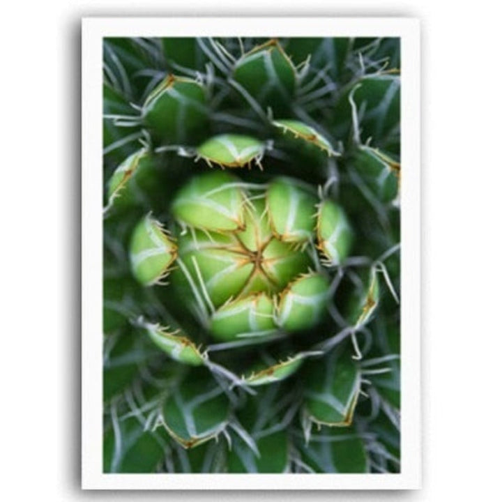 Scandinavia Cactus - Canvas Wall Art Painting | Bowlift