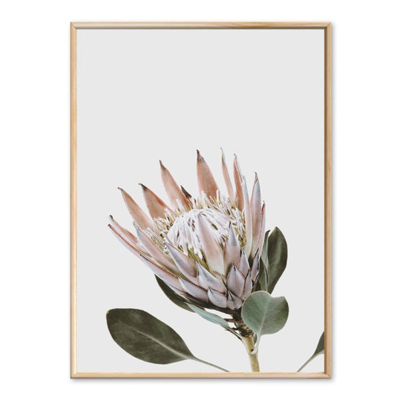 Modern Plants Leaves King Protea Flowers  - Canvas Wall Art Painting | Bowlift