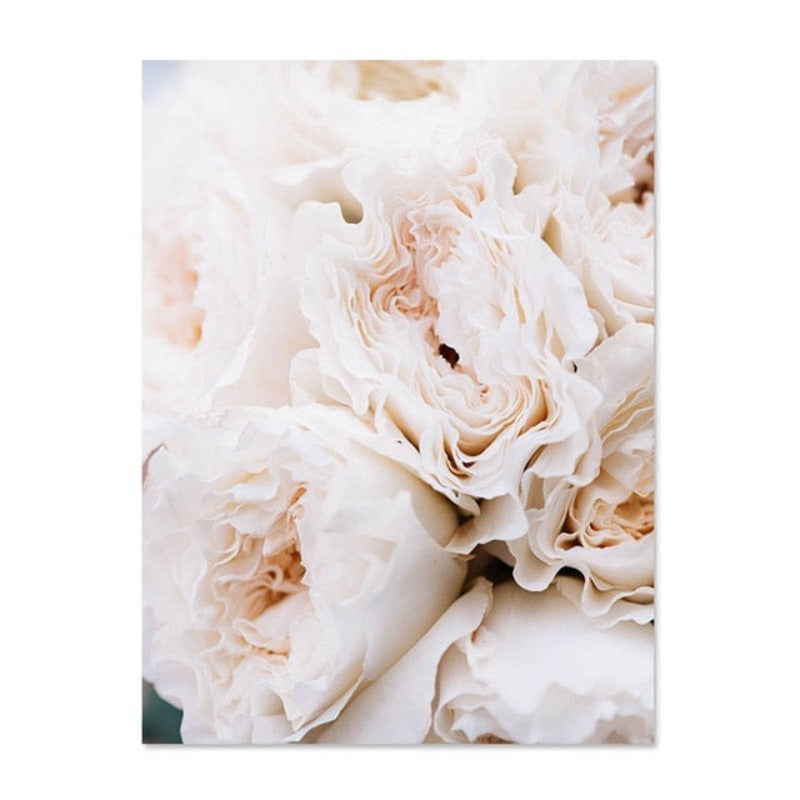 Blush Pink Peonies Wall Art Pictures - Canvas Wall Art Paintings | Bowlift