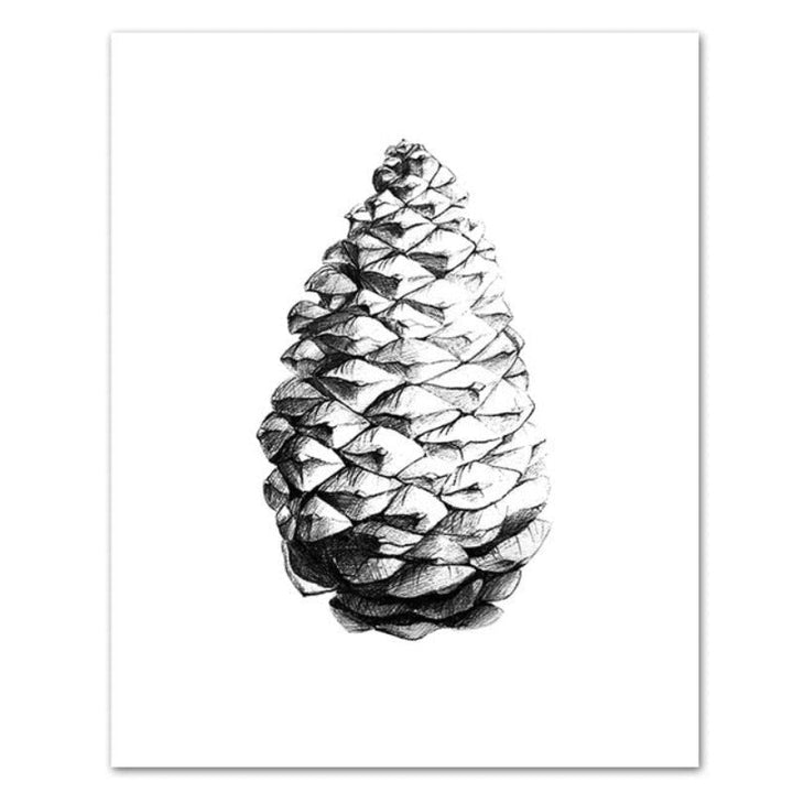 Hand Draw Pine Cone - Canvas Wall Art Painting | Bowlift