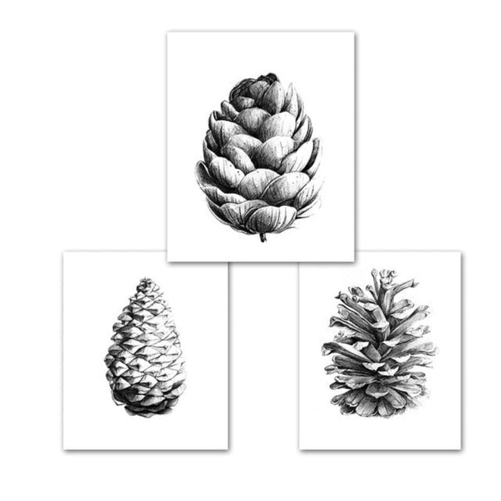 Hand Draw Pine Cone - Canvas Wall Art Painting | Bowlift