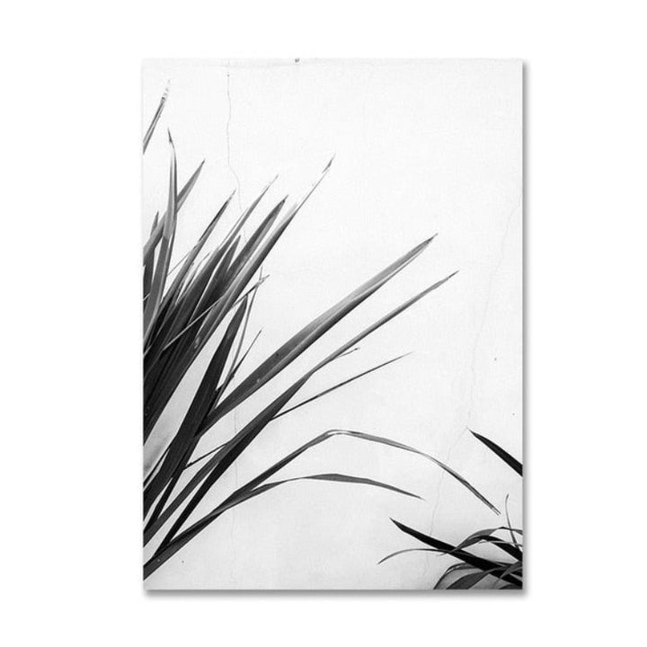 Nordic Scandinavia Palm Leaves Plants Dreams Quote | Bowlift