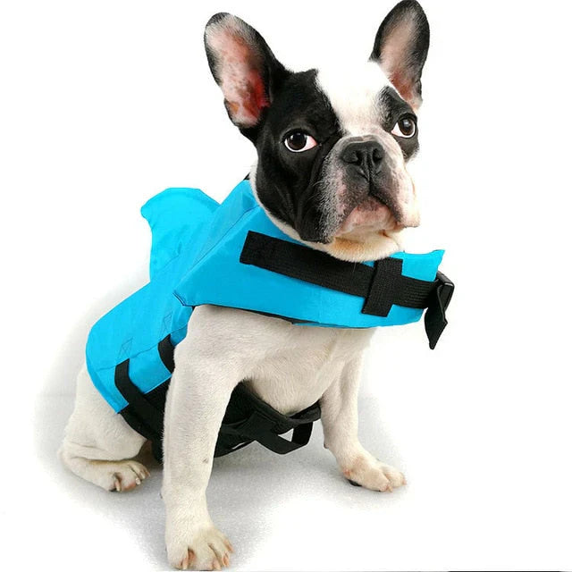 Safe Swimming Fun for Your Dog – SwimBuddy Life Jacket Bowlift