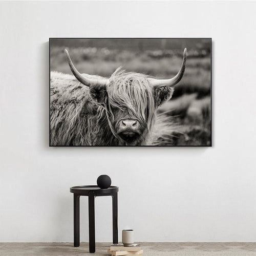 Scottish Highland Catt Cow Yak Animal Poster Wall Art - Canvas Wall Art Painting | Bowlift