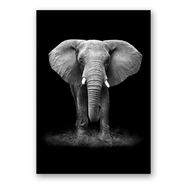 Nature Wildlife Africa Wild Animals Black White  - Canvas Wall Art Painting | Bowlift