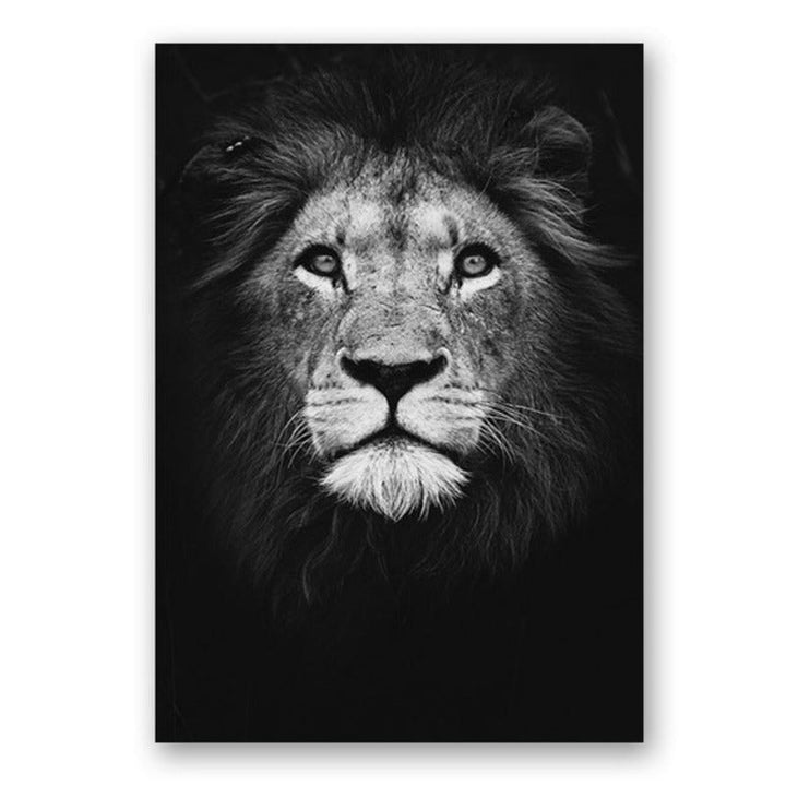 Nature Wildlife Africa Wild Animals Black White  - Canvas Wall Art Painting | Bowlift