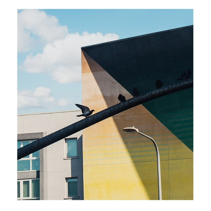 City Views-Canvas Wall Art Painting | Bowlift