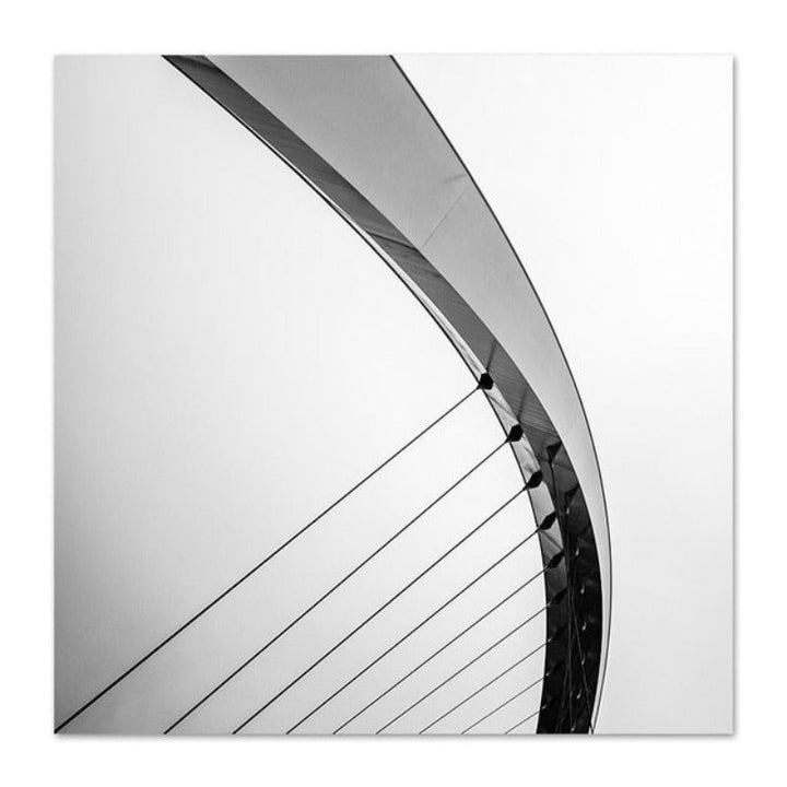 HD Bridge WirePictures - Canvas Wall Art Painting | Bowlift