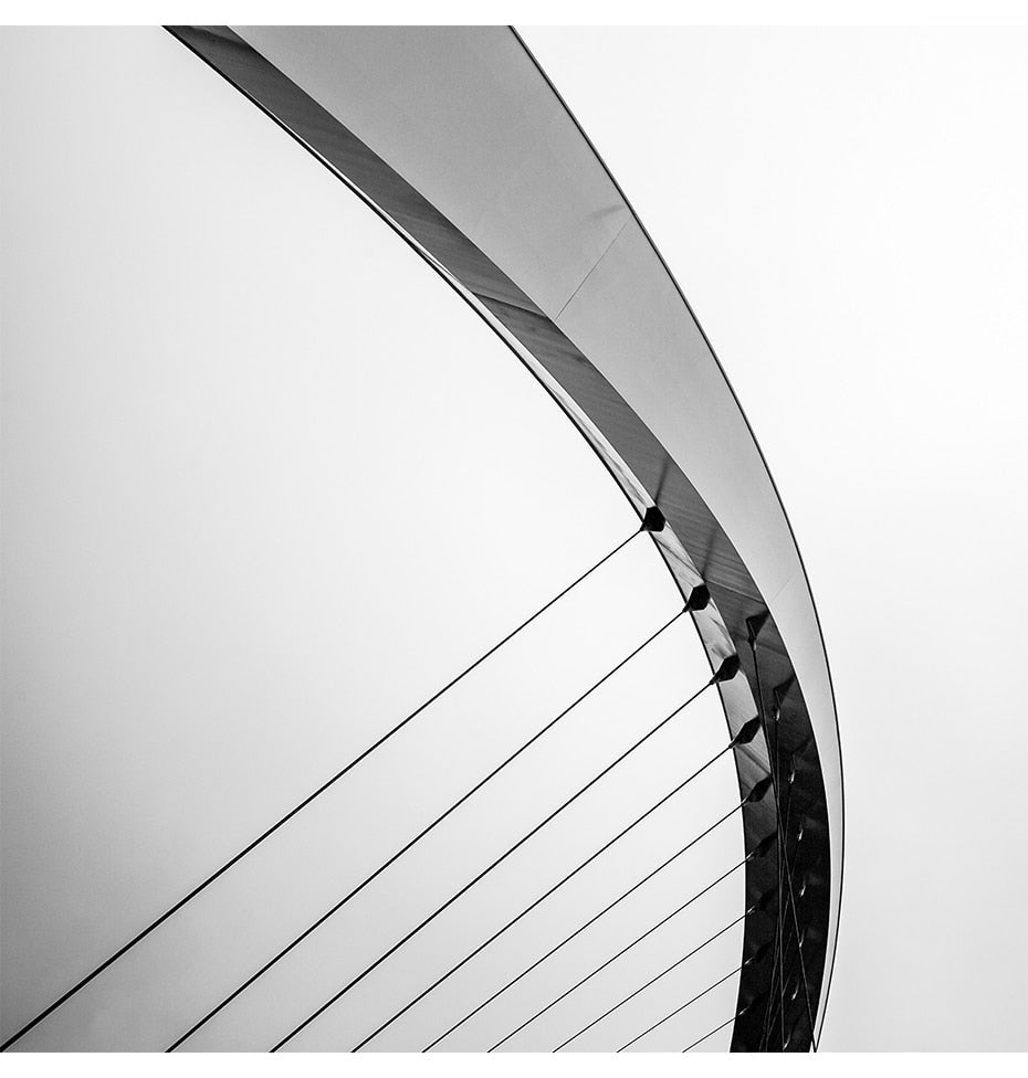 HD Bridge WirePictures - Canvas Wall Art Painting | Bowlift