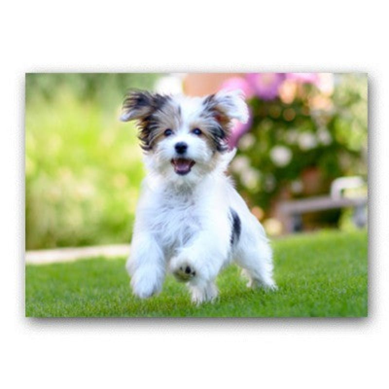 Lovely Modern Pet Dog - Canvas Wall Art Painting | Bowlift