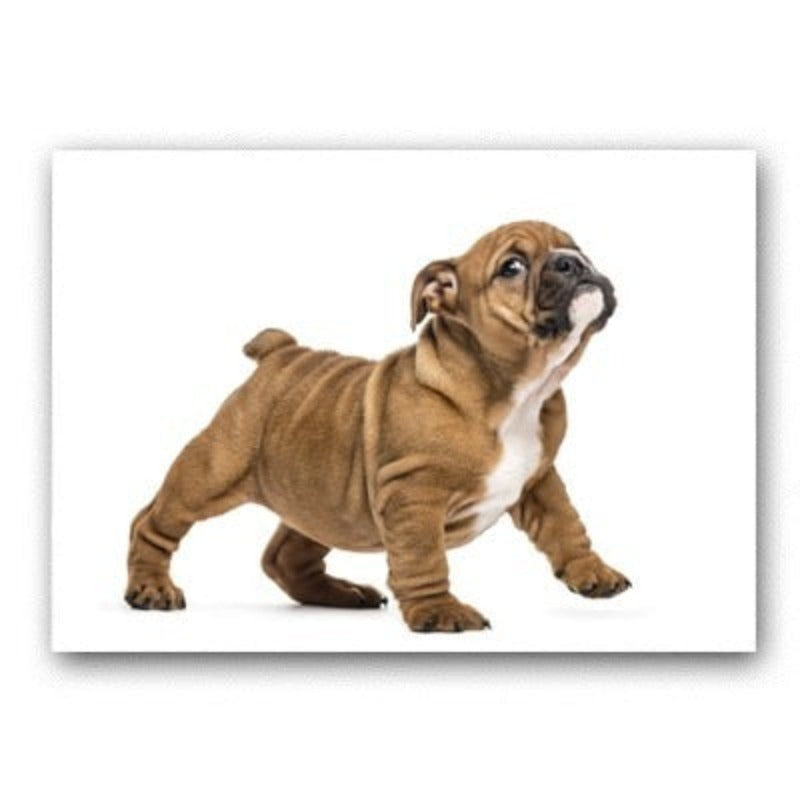 Lovely Modern Pet Dog - Canvas Wall Art Painting | Bowlift