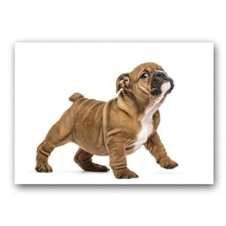 Lovely Modern Pet Dog - Canvas Wall Art Painting | Bowlift