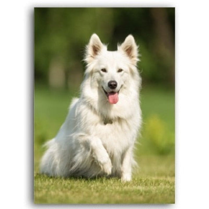 Lovely Modern Pet Dog - Canvas Wall Art Painting | Bowlift