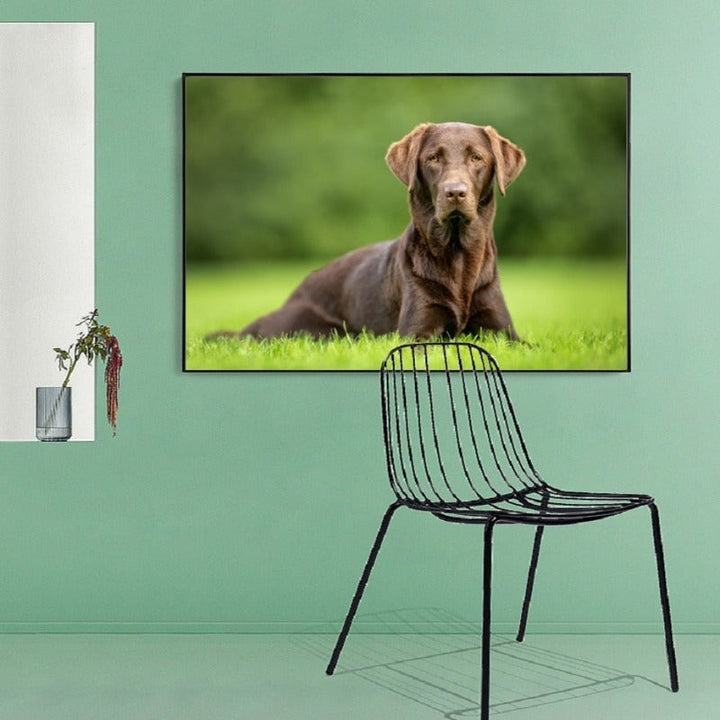 Lovely Modern Pet Dog - Canvas Wall Art Painting | Bowlift