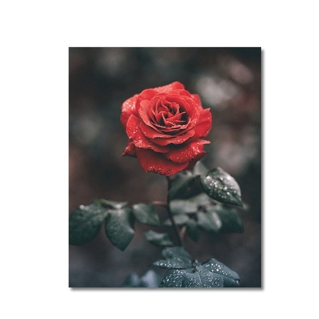 Scandinavia Posters Rose Prints Life Quote Minimalist - Canvas Wall Art Painting | Bowlift
