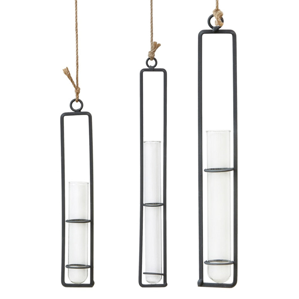 Iron Transparent Wall Hanging Flower Pot | Bowlift
