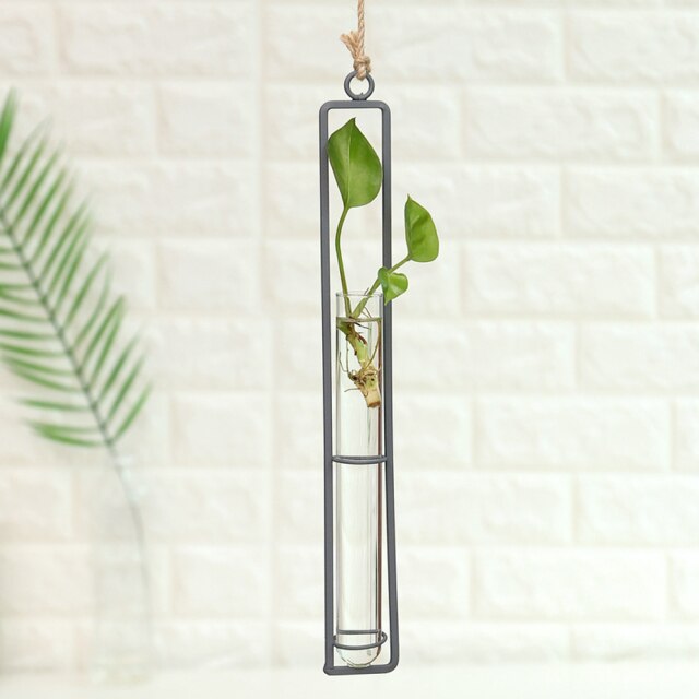 Iron Transparent Wall Hanging Flower Pot | Bowlift