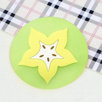 BowLift | 5pcs Silicon Custom Fruit Coasters