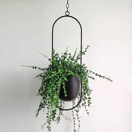 BowLift | Stylish plant suspension in a minimalist design!