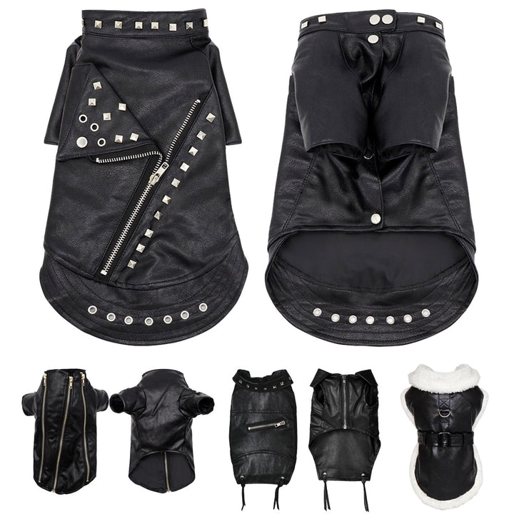 BowLift | Cool Cute Leather Pet Jacket