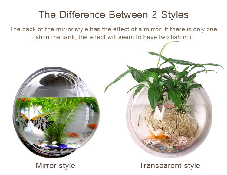 Wall Mounted Transparent Fish Tank Flower Vase | Bowlift