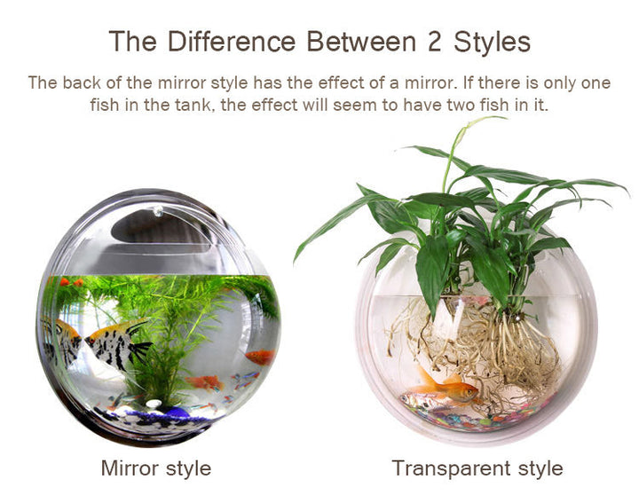 Wall Mounted Transparent Fish Tank Flower Vase | Bowlift