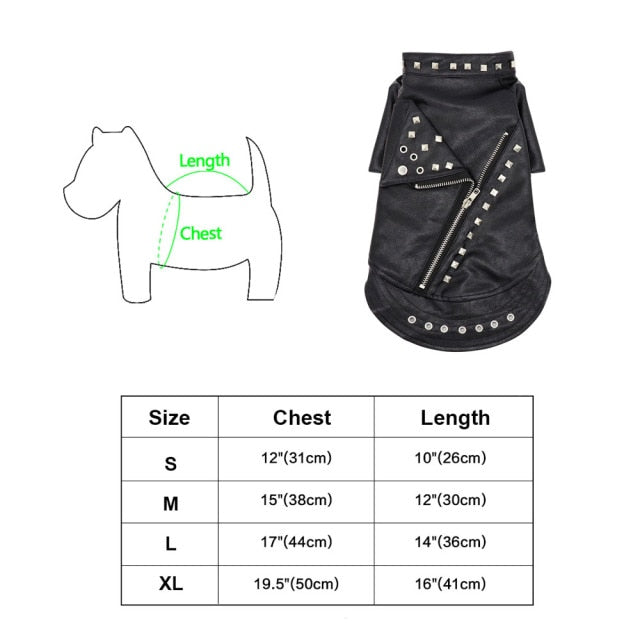 BowLift | Cool Cute Leather Pet Jacket