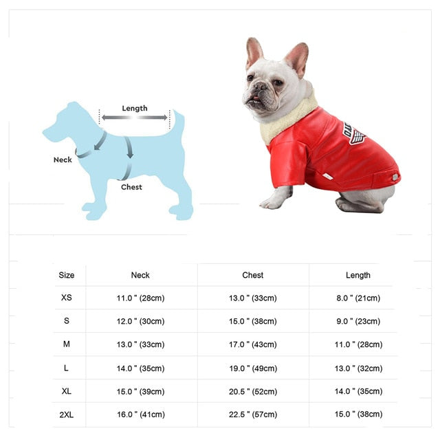 BowLift | Cool Cute Leather Pet Jacket
