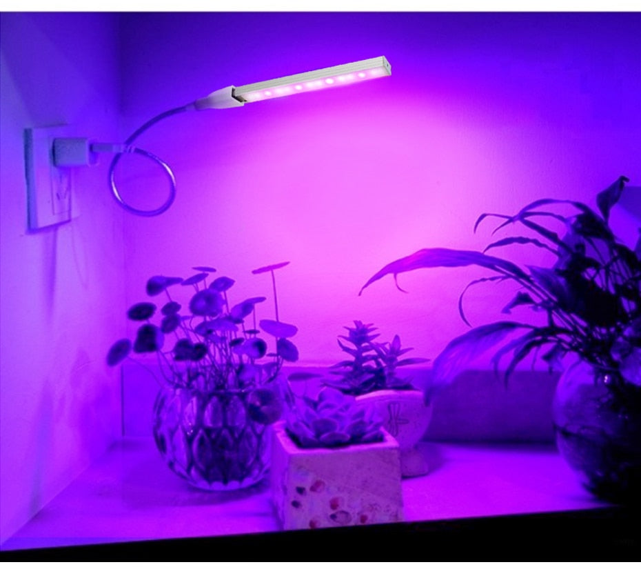 LED USB Plant Growing Phyto Lamp | Bowlift