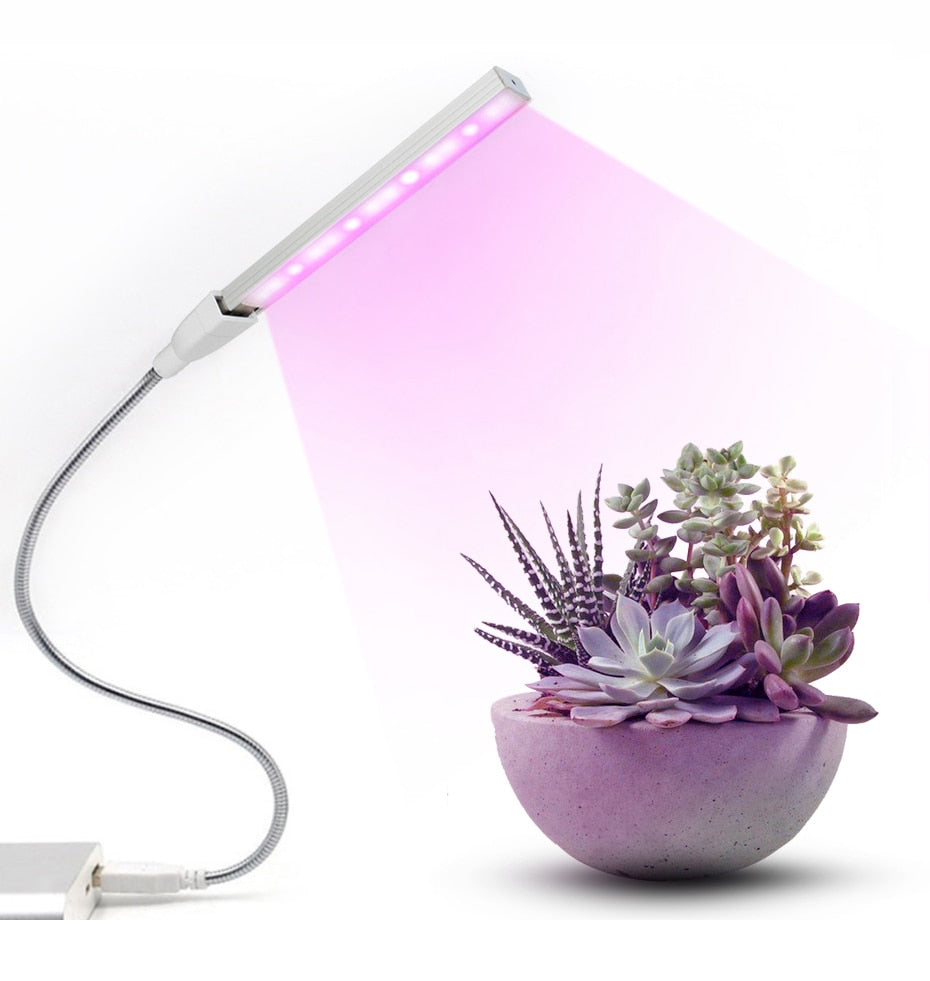 LED USB Plant Growing Phyto Lamp | Bowlift