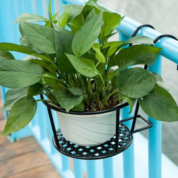 Iron Outdoor Hanging Baskets Flower Pot Holder | Bowlift