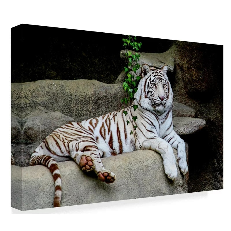 Laying White Tiger - Canvas Wall Art Painting | Bowlift