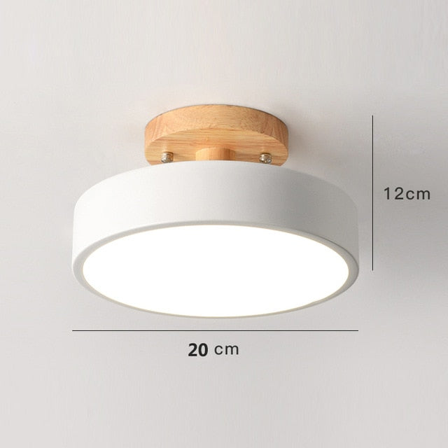 Colorful Nordic LED Ceiling Lamp | Bowlift
