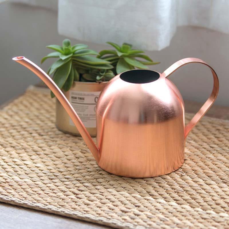 BowLift | AquaGrace Stainless Steel Watering Can with Flexible Neck | Modern Design | Perfect Watering | Rustproof