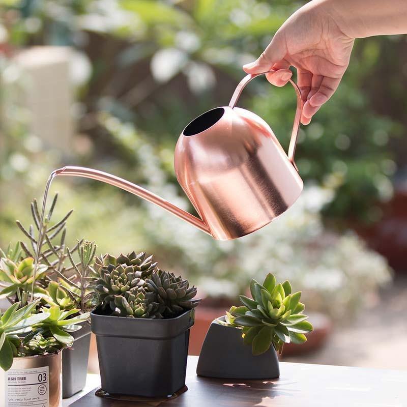 BowLift | AquaGrace Stainless Steel Watering Can with Flexible Neck | Modern Design | Perfect Watering | Rustproof