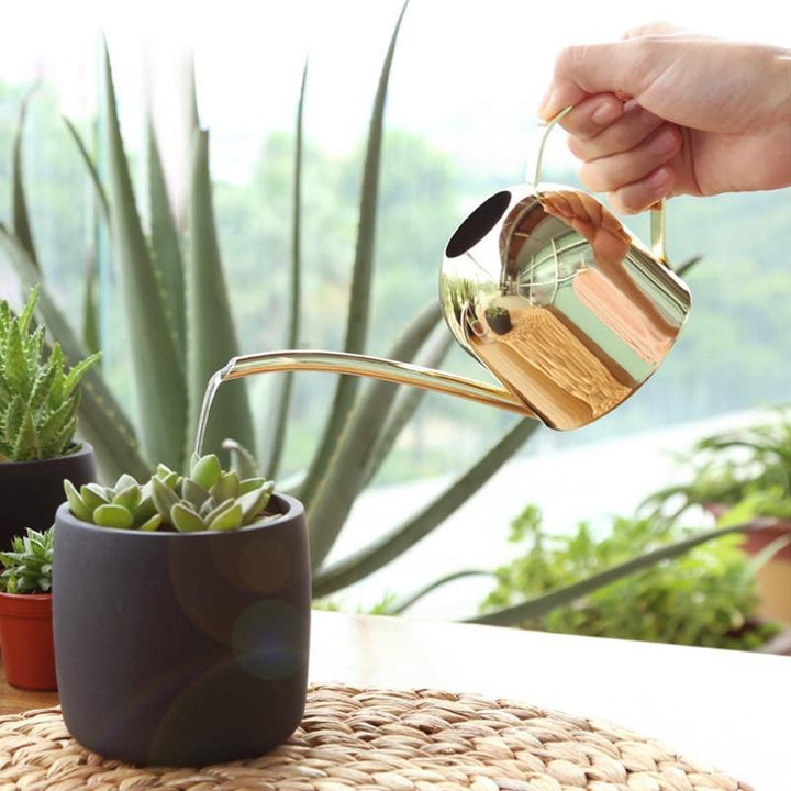 BowLift | Stainless Steel Watering Can with Flexible Neck | Modern Design | Perfect Watering | Rustproof