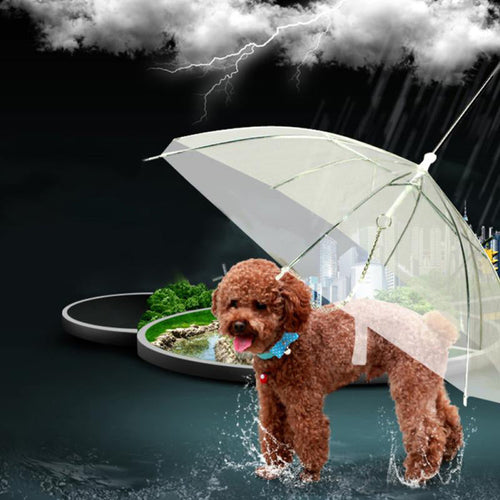 BowLift | Creative Pet Walking Transparent Umbrella