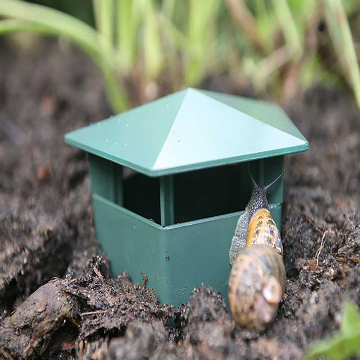 Eco-Friendly Farm Protector Insect Trap Box | Bowlift