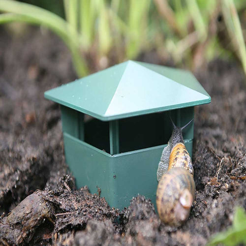 Eco-Friendly Farm Protector Insect Trap Box | Bowlift