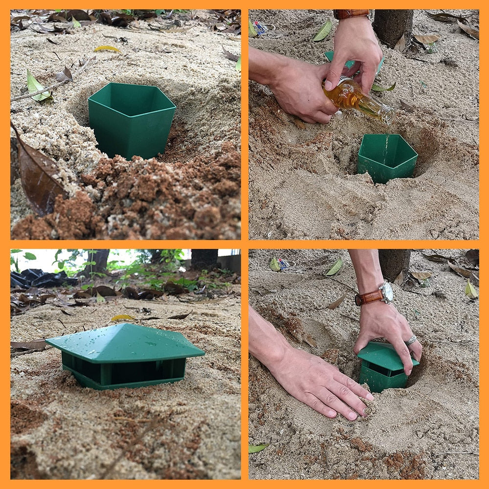 Eco-Friendly Farm Protector Insect Trap Box | Bowlift