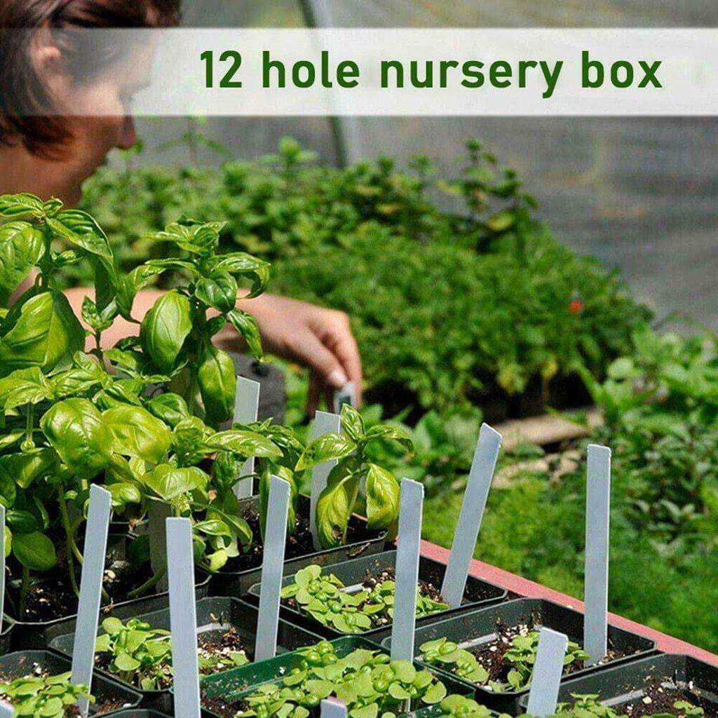 Adjustable 12 Seedling Planting Box | Bowlift