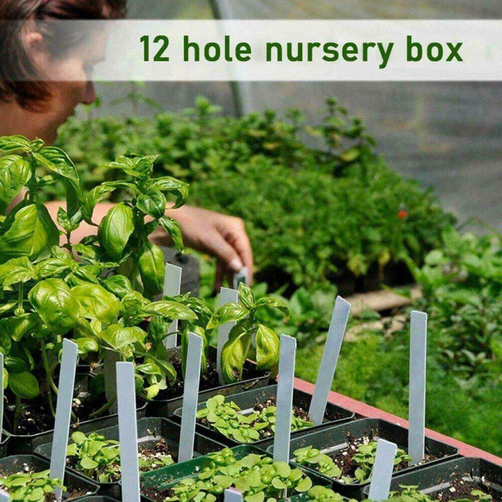 Adjustable 12 Seedling Planting Box | Bowlift
