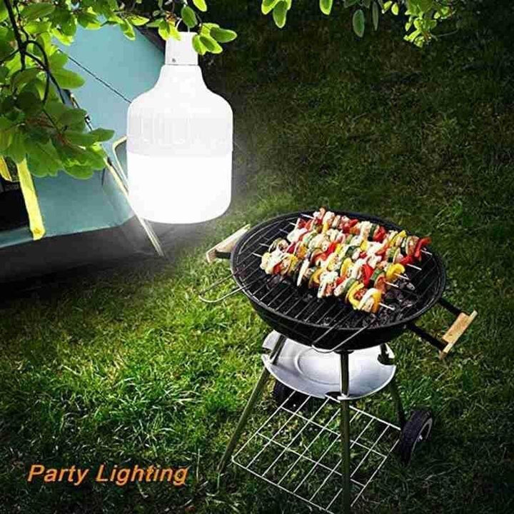 Outdoor USB Rechargeable LED Night Light Bulb | Bowlift